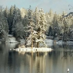 Meet your Posher, Treehugga